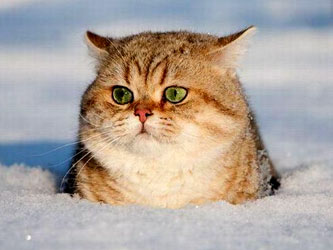 На выходных в Хакасии будет -41 градус